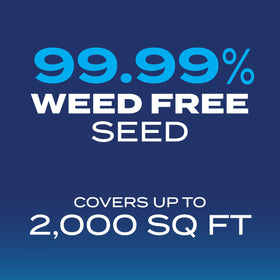 Overseeding existing lawn with Scotts drought-tolerant mix for fuller, quicker recovery.