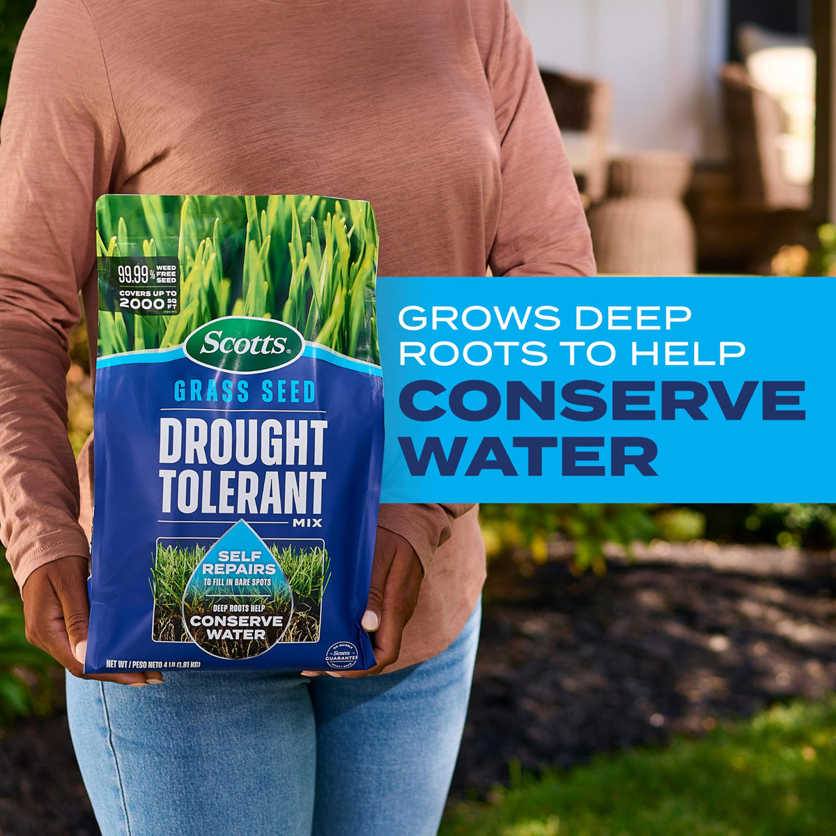 Scotts drought-tolerant seed is being evenly spread for uniform germination.