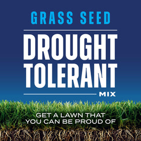Soil prepared for Scotts drought-tolerant mix to maximize seed-to-soil contact.