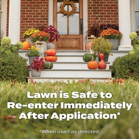 Family lawn with kids playing on healthy turf after fall application