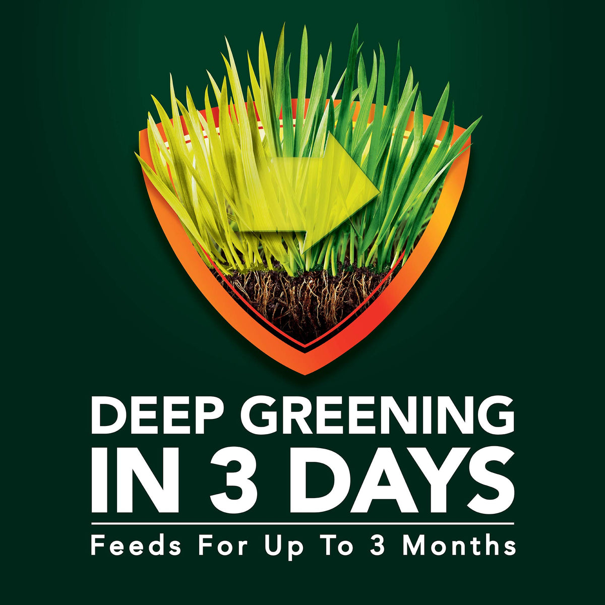 Scotts Green Max Lawn FoodFL spreader application for even coverage