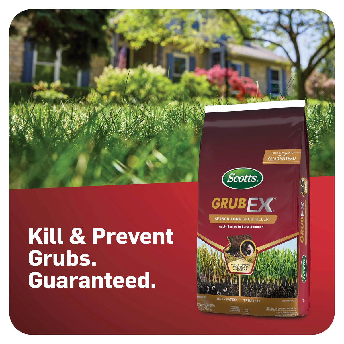 Scotts GrubEx1 granular insecticide ready for spring lawn application.