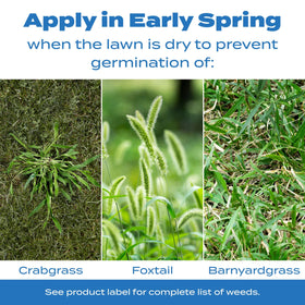 Fall application of Scotts Halts to prevent moss and certain weeds