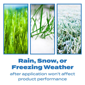 Scotts Halts granules closeup highlights granular formula for early germination control