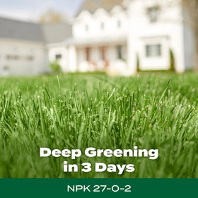 Scotts iron supplement detail showing iron for greener lawn