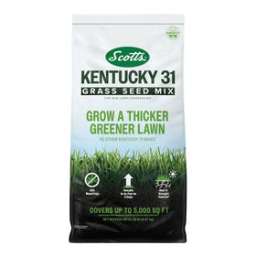 Scotts Kentucky 31 seed mix bag closeup for premium lawn growth