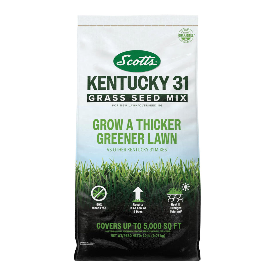 Scotts Kentucky 31 seed mix bag closeup for premium lawn growth