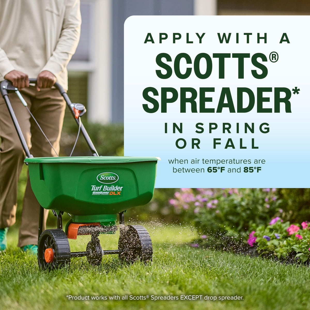 Spring or fall planting with Scotts Kentucky 31 seed mix