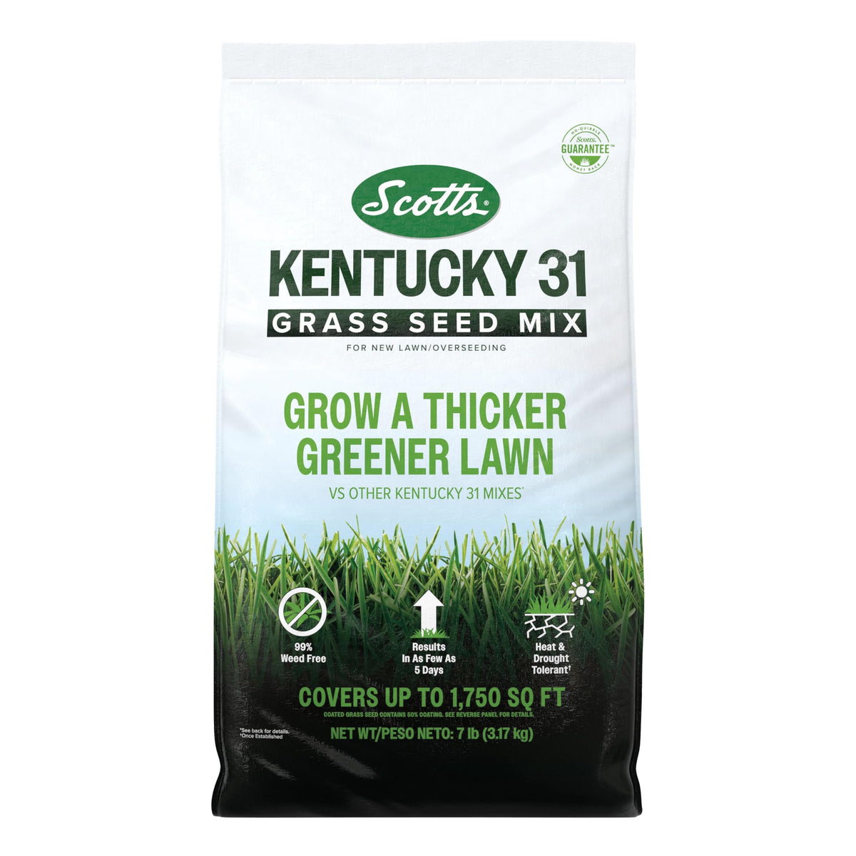 Scotts Kentucky 31 seed bag closeup showing a durable blend for sturdy lawns.