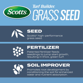 Scotts Kentucky Bluegrass seed delivers thick, green turf for sunny and light shade.