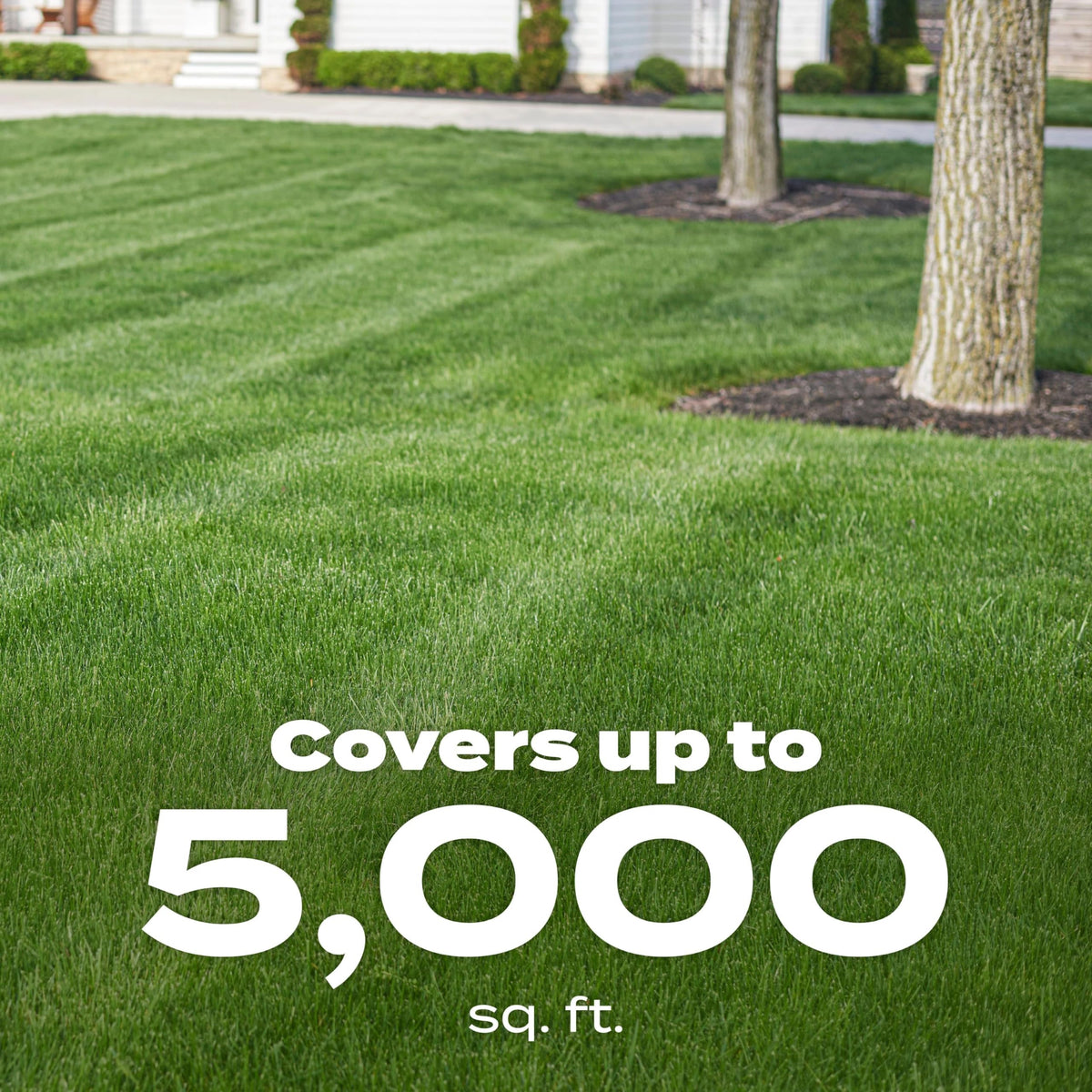 Scotts Green Max for any grass type and easy lawn care