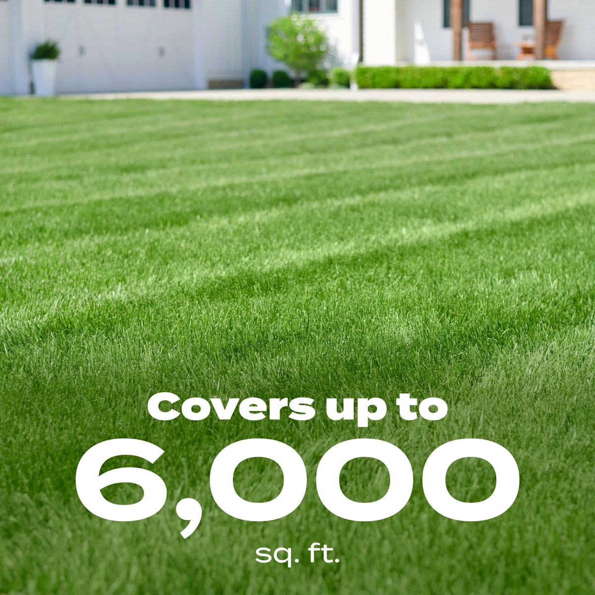 Lawn coverage up to 6,000 sq ft with Scotts liquid turf builder.