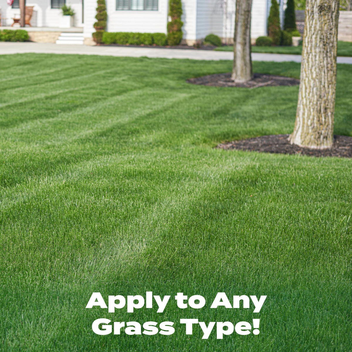 Scotts Liquid Turf Builder being sprayed onto an actively growing lawn for even color.
