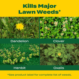 Scotts Liquid Turf Builder Plus 2 Weed Control bottle ready-to-use for warm-season lawns.