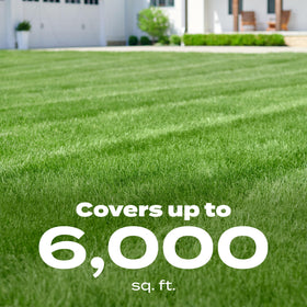 Scotts Liquid Turf Builder Plus 2 Weed Control two-pack covers larger lawns efficiently.