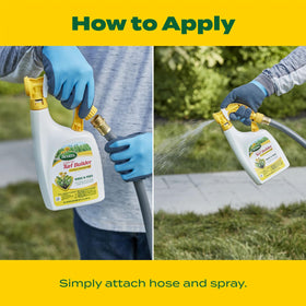 Hose-end sprayer applying fertilizer and weed control to a lawn.