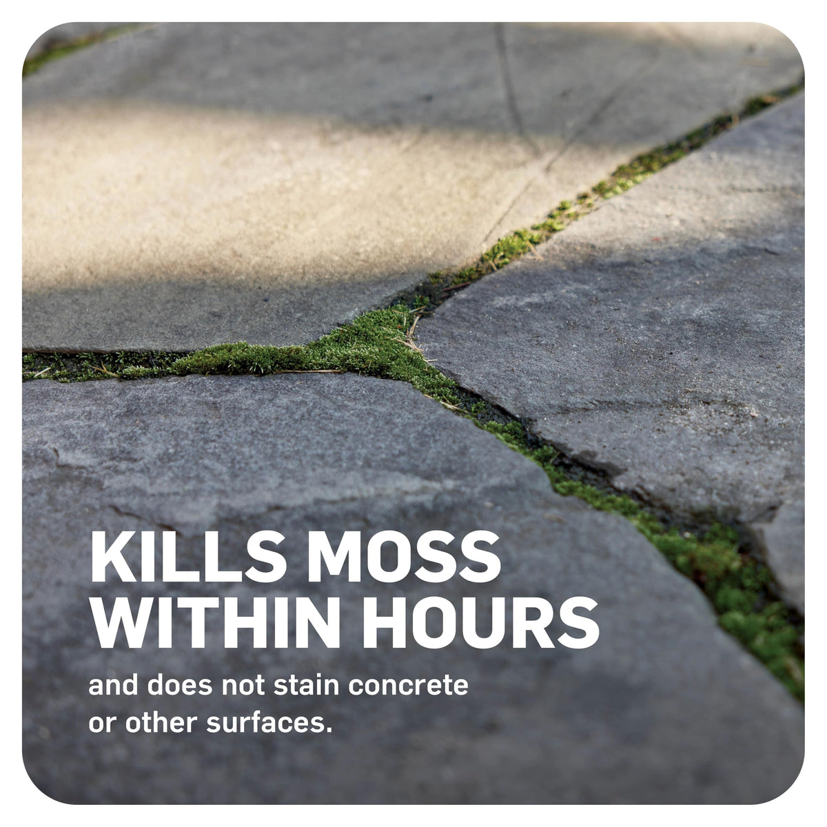 Scotts MossEx 3-in-1 applied to patio surface with non-staining formula