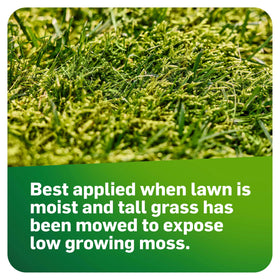 Mowed grass exposes low-growing moss for MossEx treatment