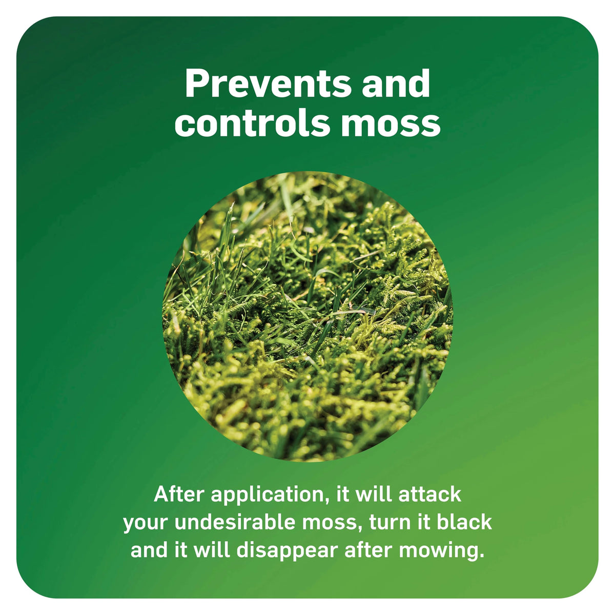 Scotts MossEx nutrients helping green lawn after moss control