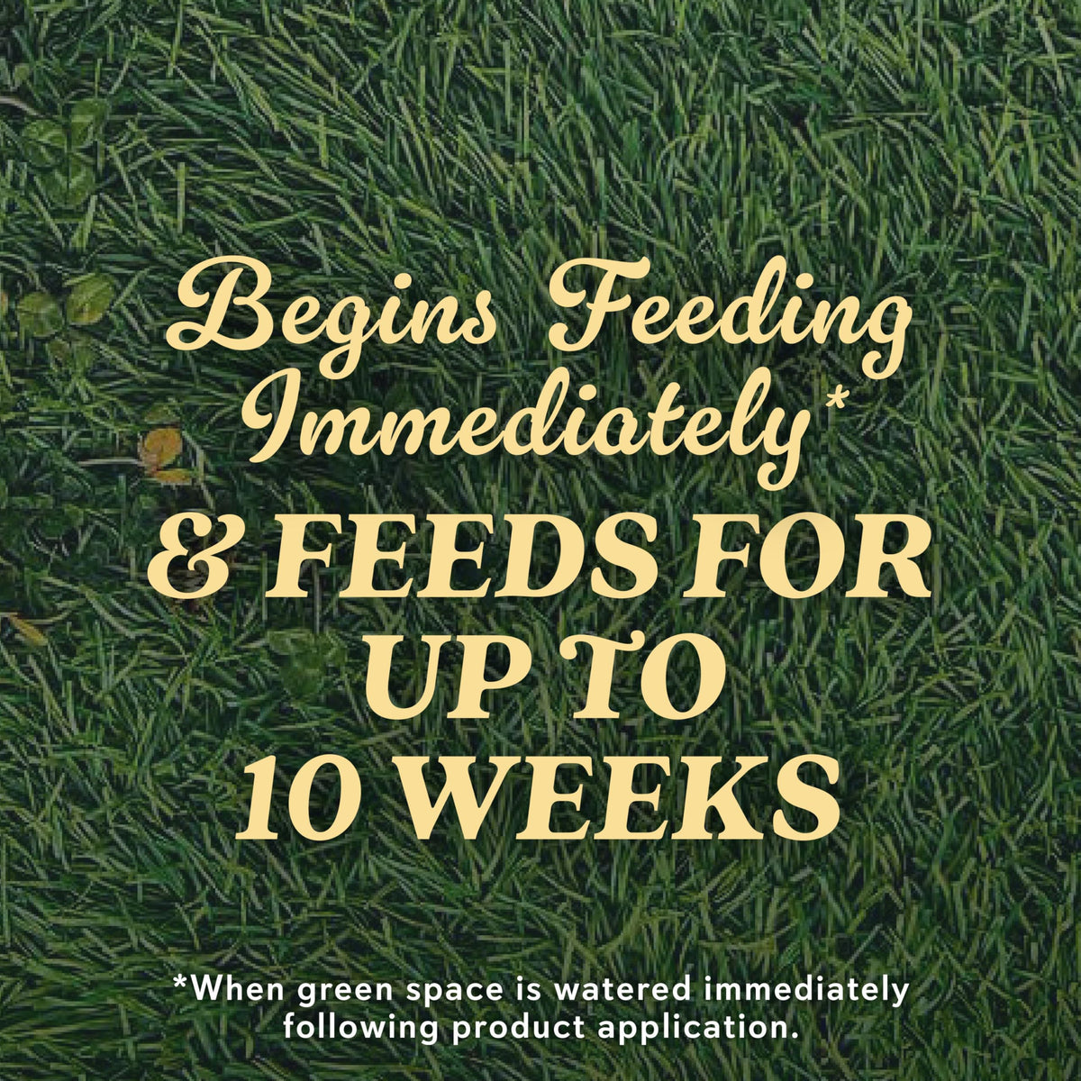 Scotts Natural Grass Food application in progress on a green lawn.