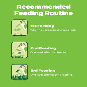 Scotts new lawn coverage illustration visualizes seed spread area for overseeding.