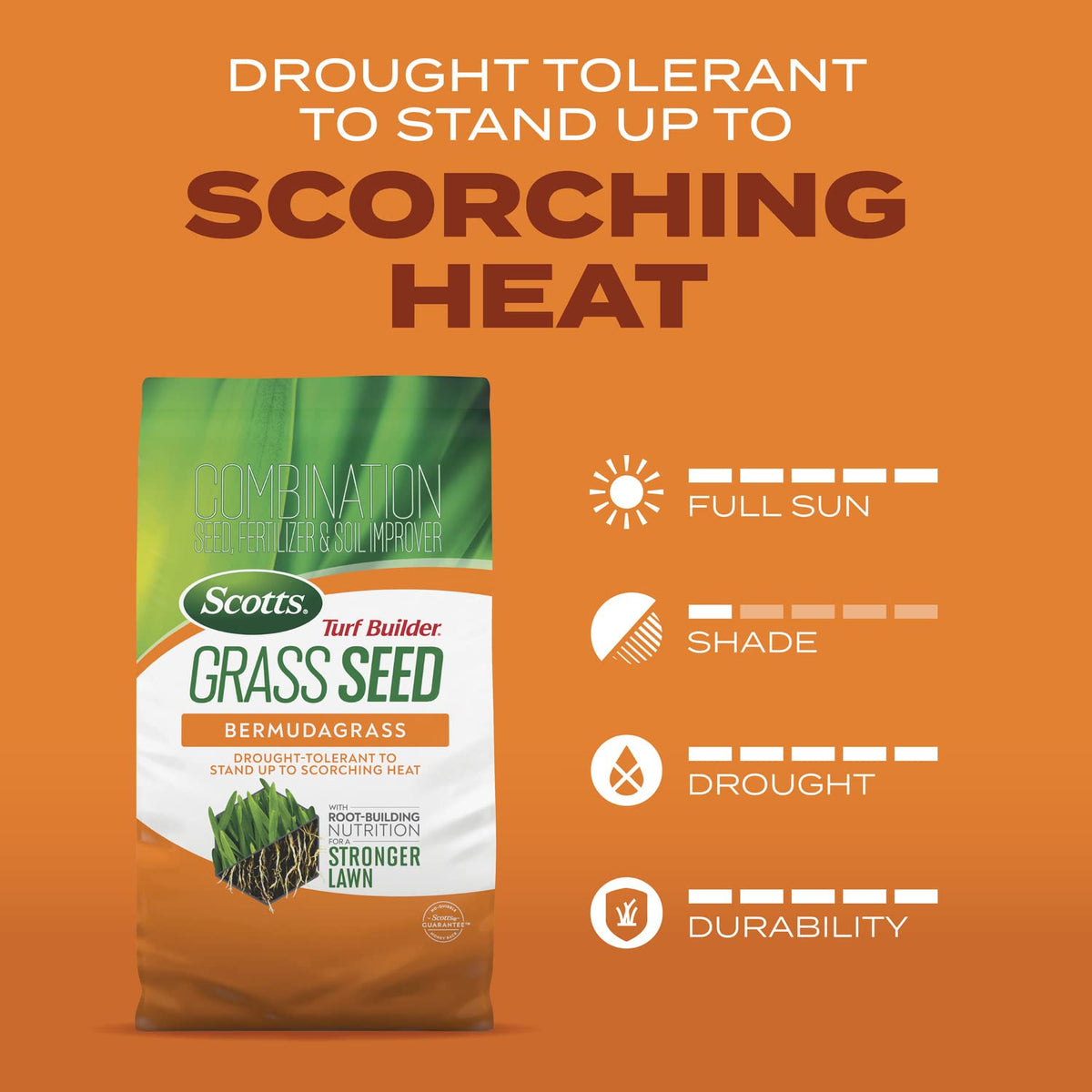Overseeding coverage up to 1000 sq ft with Scotts Bermudagrass seed