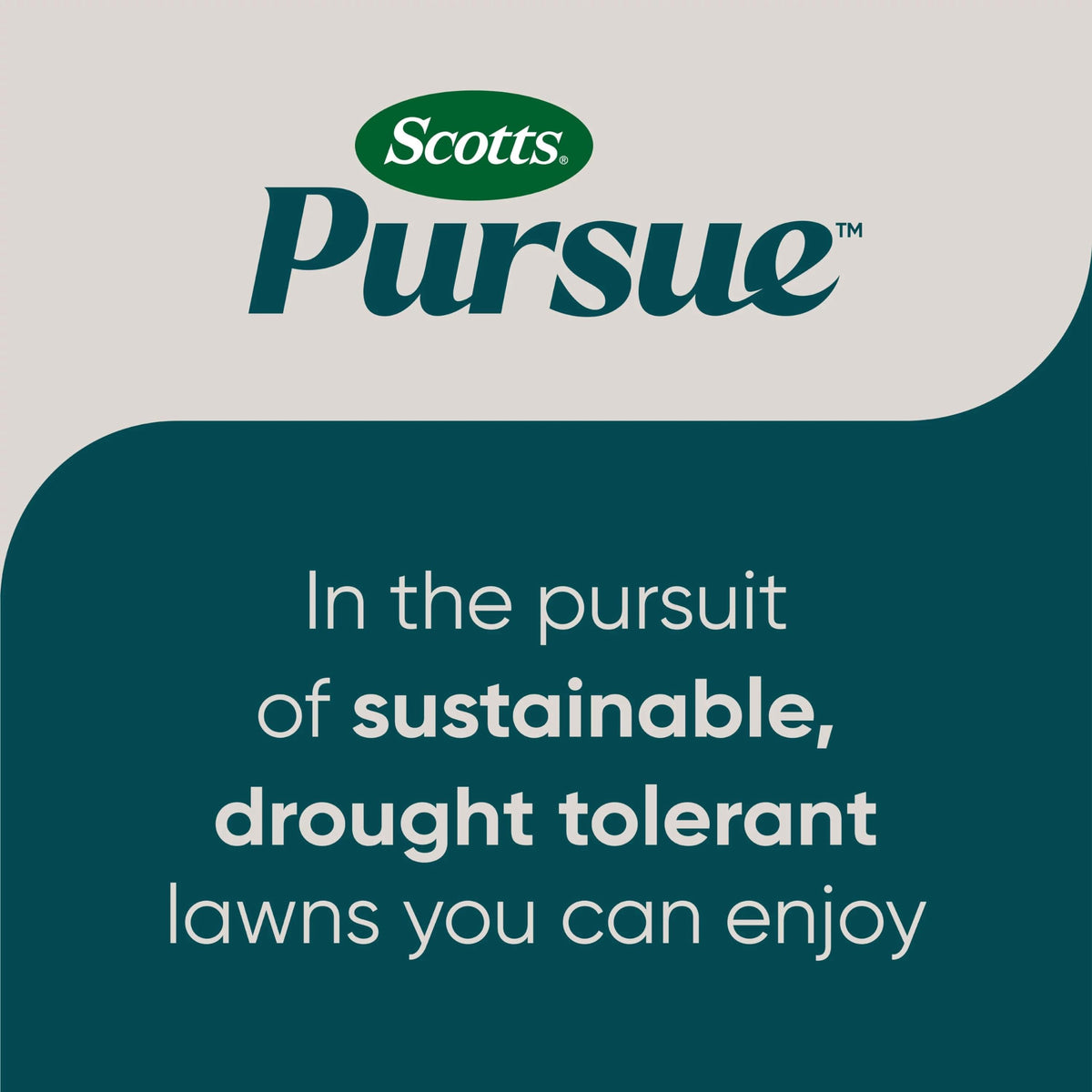 Scotts Pursue Clover Lawn germination 5-7 days, faster establishment for a green start.
