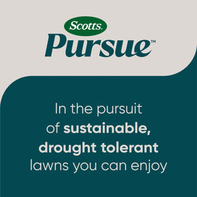 Scotts Pursue Clover Lawn germination 5-7 days, faster establishment for a green start.