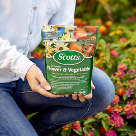 Rake Scotts fertilizer into the top 1–3 inches of soil for release.