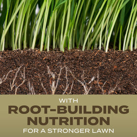 Scotts root-building nutrition pack shown for deeper lawn roots.