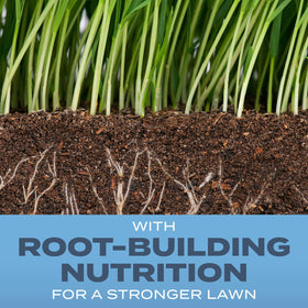 Details of Scotts Root-Building Nutrition for deeper roots and stronger turf.