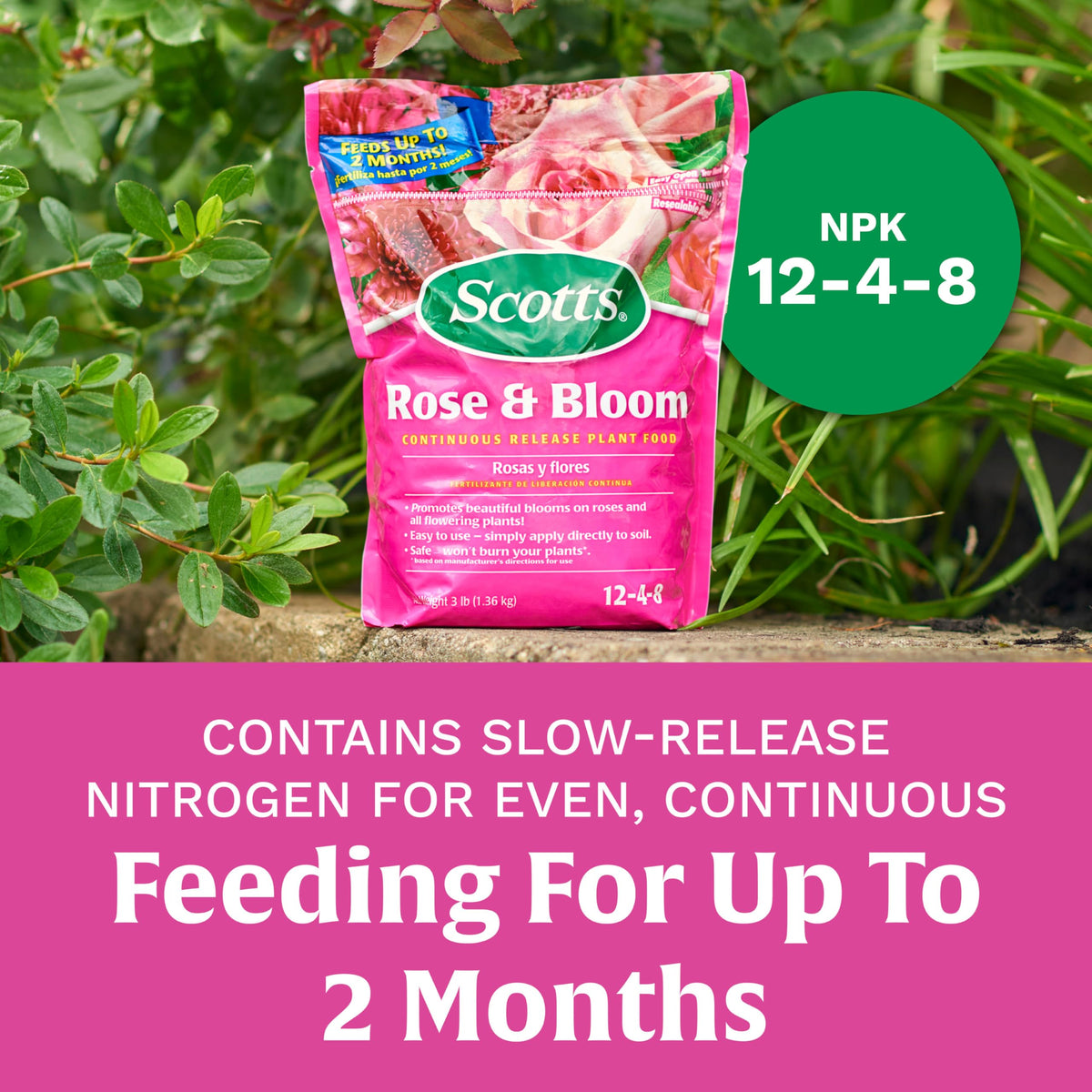 Scotts Rose & Bloom blooming plants close-up highlights vibrant petals and new growth