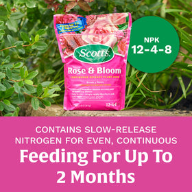 Scotts Rose & Bloom blooming plants close-up highlights vibrant petals and new growth