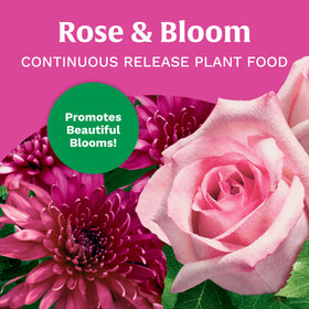 Scotts Rose & Bloom measuring scoop ready for easy soil application