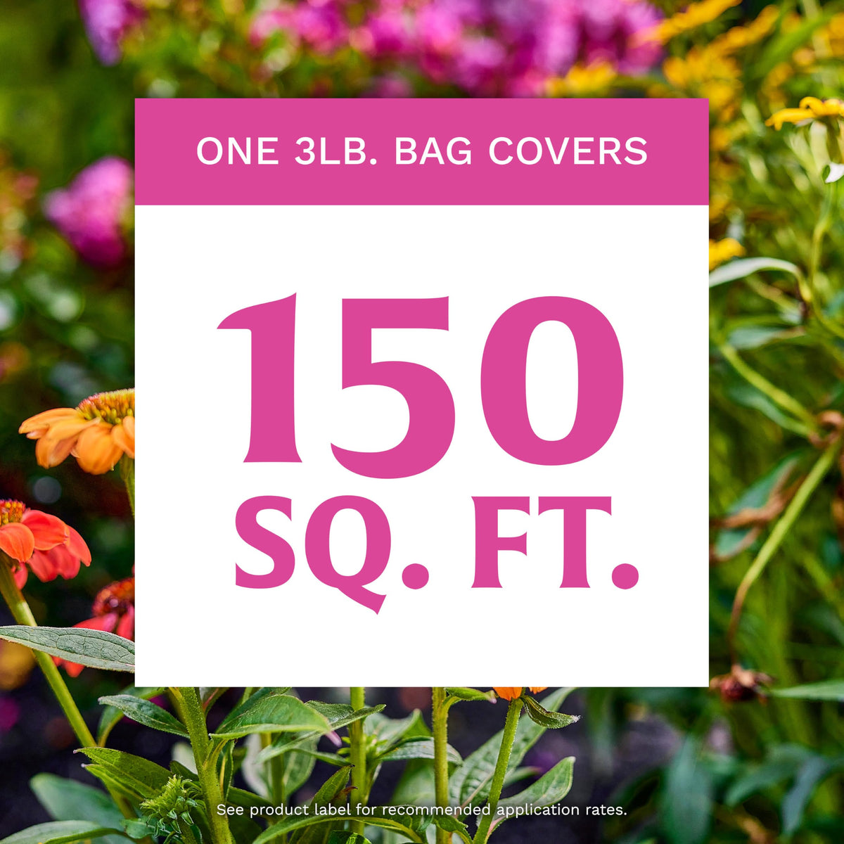 Scotts Rose & Bloom slow-release dispersion supports sustained nourishment for blooms