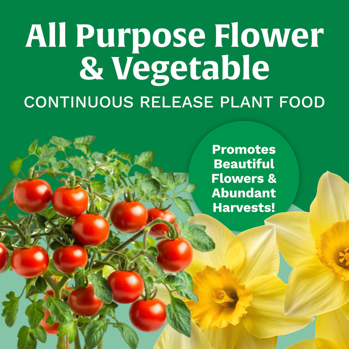 Spreading Scotts All Purpose Plant Food on soil around plants for even nourishment.