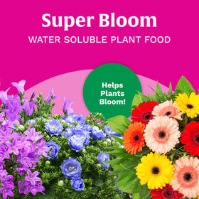 Scotts Super Bloom dissolving powder in water enables instant uptake by plants.