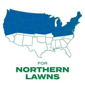Scotts Thick'R Lawn seed-kernel-detail signals healthy germination potential in thin areas.