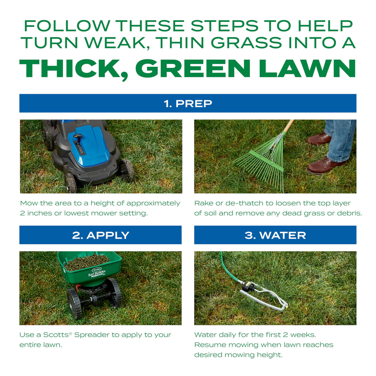 Scotts Thick'R Lawn watering-sprinkler illustrates consistent moisture for two weeks.