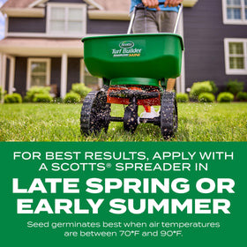 Dense lawn blades appear fuller and greener with thicker turf.