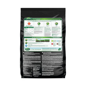 Scotts Turf Builder grass blades after treatment look thicker and more even.