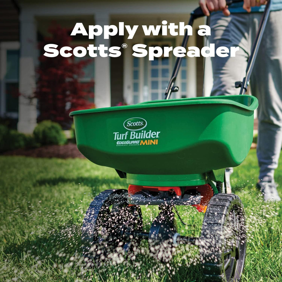 Scotts Turf Builder demonstrates strong root development in healthy turf.