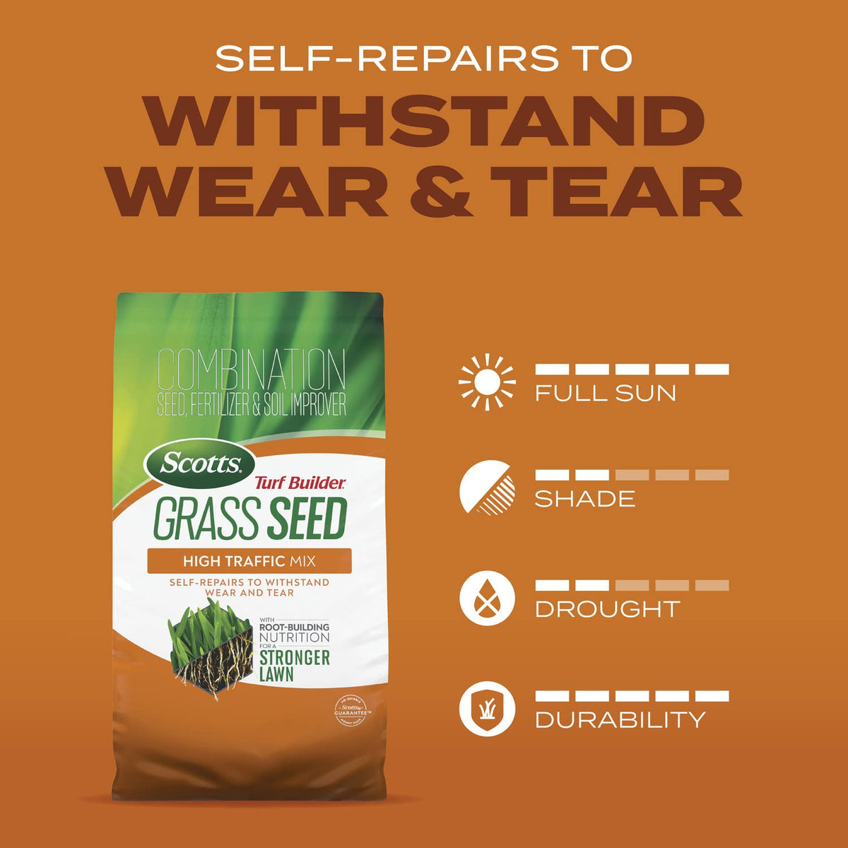 Scotts Turf Builder Grass Seed High Traffic Mix dense turf under foot traffic.