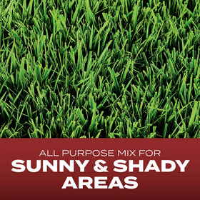 Close-up of Scotts Turf Builder seeds coated to absorb water for faster germination.