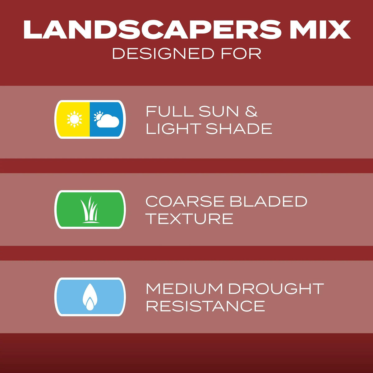 Overseeding bare patches with Scotts Turf Builder Landscaper's Mix promotes thicker turf.