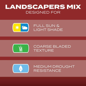 Overseeding bare patches with Scotts Turf Builder Landscaper's Mix promotes thicker turf.