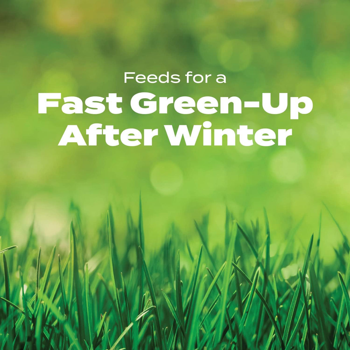 Scotts Turf Builder results showing a lush, green lawn after winter.