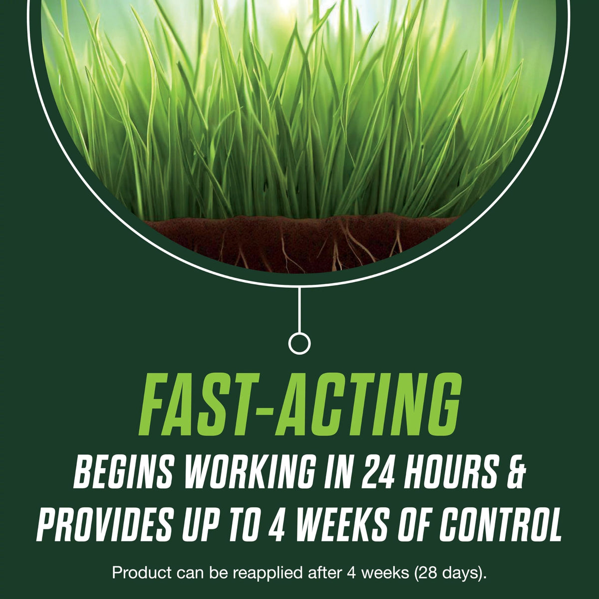 Scotts Turf Builder Healthy Plus lawn grass blade closeup; stronger roots.
