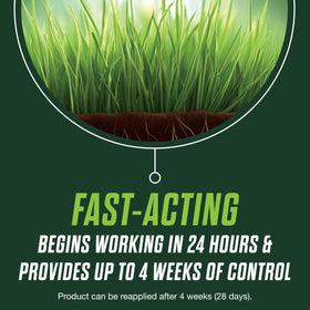 Scotts Turf Builder Healthy Plus lawn grass blade closeup; stronger roots.