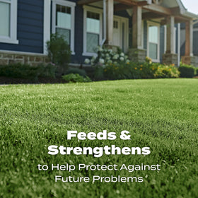 Applying Scotts Turf Builder on a dry lawn demonstrates versatility.